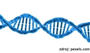 Vaše DNA je klíčem k vašemu zdraví, prevenci a lepší kvalitě života.